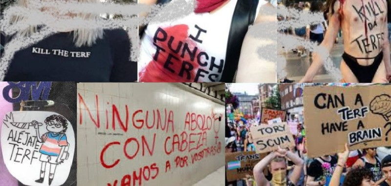 Intolerancia queer contra las mujeres kill the terf ninguna con cabeza punch terf