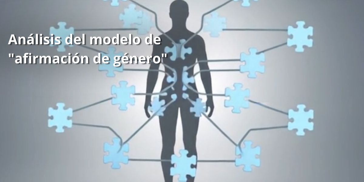 Análisis del modelo de "afirmación de género"